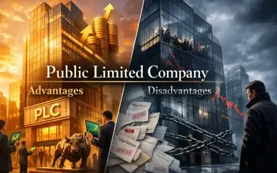 Explaining Advantages and Disadvantages of Public Limited Company